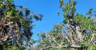  terrain de 995m² avec une ancien maison de 90m²