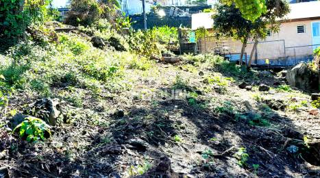 Achat Terrain Tampon (97430) - REUNION