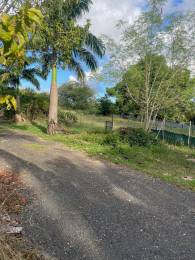 Achat Terrain Le Moule (97160) - GUADELOUPE