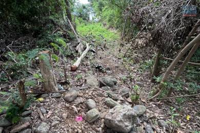 Achat Terrain Rivière Saint-Louis (97421) - REUNION