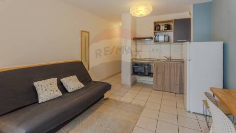 Location Appartement Sainte-Clotilde (97490) - REUNION