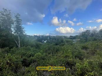 Achat Terrain Le Gosier (97190) - GUADELOUPE