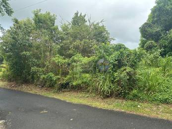 Achat Terrain Le Moule (97160) - GUADELOUPE