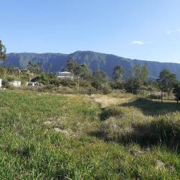 Achat Terrain à Batir Plaine des Palmistes (97431) - REUNION