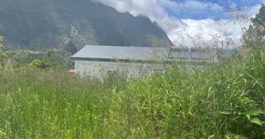 terrain sur palmiste rouge cilaos