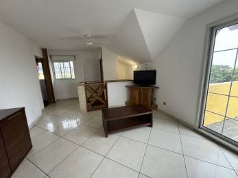 Location Appartement Saint-Philippe (97442) - REUNION