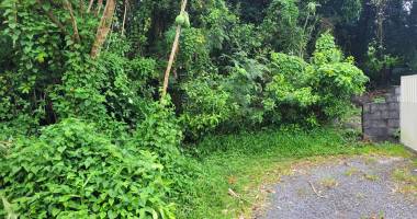 terrain au cœur de la nature, à deux pas du bassin bleu à sainte anne