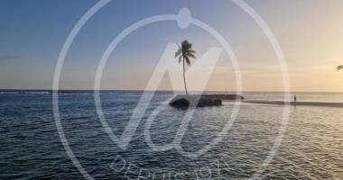 a louer -t2 meuble * sainte anne *