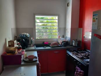 Achat Appartement Bras-Panon (97412) - REUNION