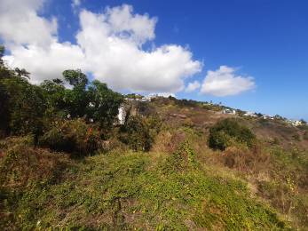 Achat Terrain à Batir Mi-pente de l'Ouest (97435) - REUNION