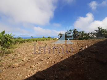 Achat Terrain à Batir Saint-Pierre (97410) - REUNION