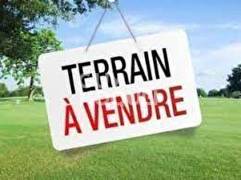 achat terrain à tampon (97430)