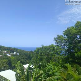 Achat Maison Pointe Noire (97116) - GUADELOUPE