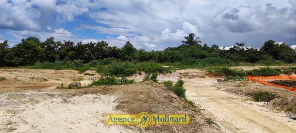 Achat Terrain Sainte-Anne (97180) - GUADELOUPE