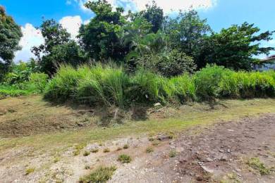 Achat Terrain Trois Rivières (97114) - GUADELOUPE