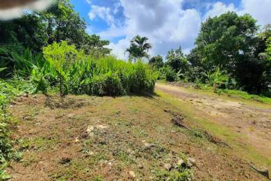 Achat Terrain Trois Rivières (97114) - GUADELOUPE