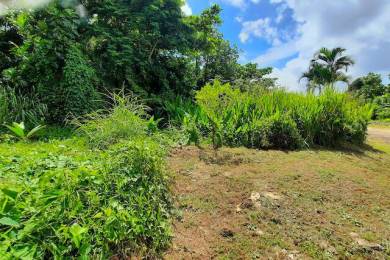 Achat Terrain Trois Rivières (97114) - GUADELOUPE