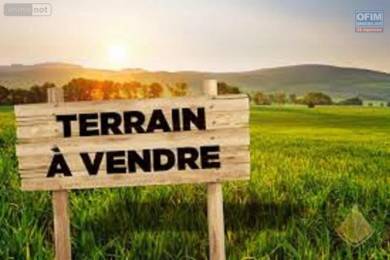 Achat Terrain Plaine des Palmistes (97431) - REUNION