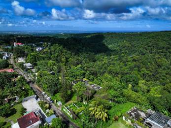 Achat Terrain Petit Bourg (97170) - GUADELOUPE