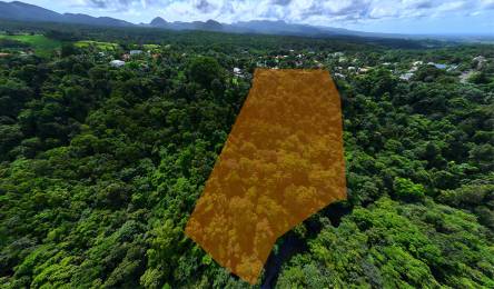 Achat Terrain Petit Bourg (97170) - GUADELOUPE