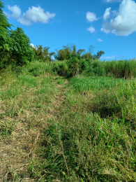 Achat Terrain à Batir Saint-André (97440) - REUNION