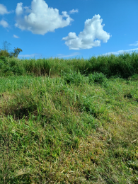 Achat Terrain à Batir Saint-André (97440) - REUNION