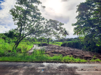 Achat Terrain à Batir Petit Bourg (97170) - GUADELOUPE