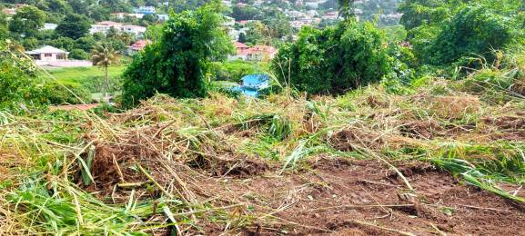 Achat Terrain à Batir Gourbeyre (97113) - GUADELOUPE