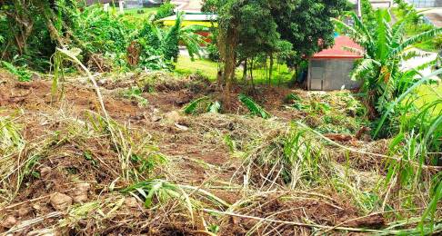 Achat Terrain à Batir Gourbeyre (97113) - GUADELOUPE