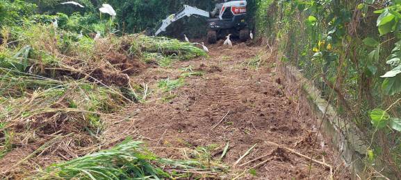 Achat Terrain à Batir Gourbeyre (97113) - GUADELOUPE