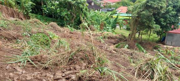 Achat Terrain à Batir Gourbeyre (97113) - GUADELOUPE