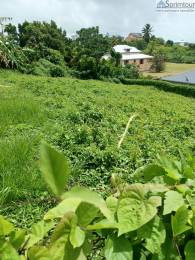 Achat Terrain à Batir Petit Bourg (97170) - GUADELOUPE