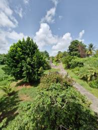 Location Bien meublé Baie Mahault (97122) - GUADELOUPE