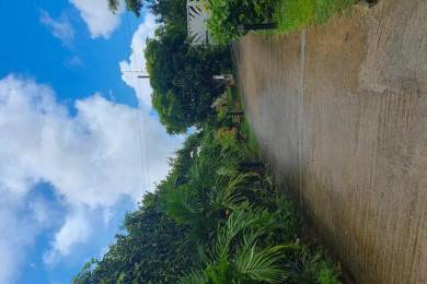 Location Maison Petit Bourg (97170) - GUADELOUPE