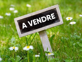 Achat Terrain Saint-Pierre (97410) - REUNION