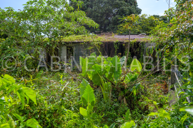 Achat Maison Saint-Benoît (97470) - REUNION