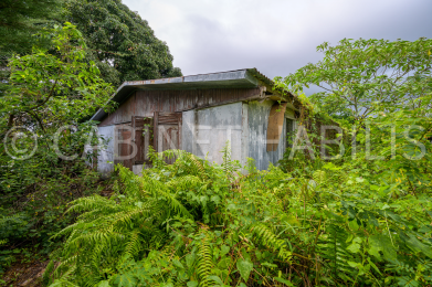 Achat Maison Saint-Benoît (97470) - REUNION