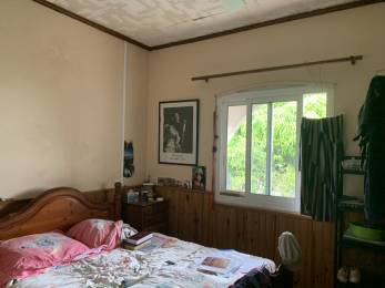 Achat Maison Saint-Pierre (97410) - REUNION