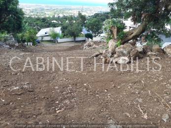 Achat Terrain Sainte-Clotilde (97490) - REUNION