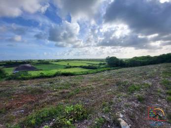 Achat terrain Le Moule (97160) - GUADELOUPE