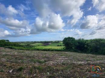 Achat terrain Le Moule (97160) - GUADELOUPE