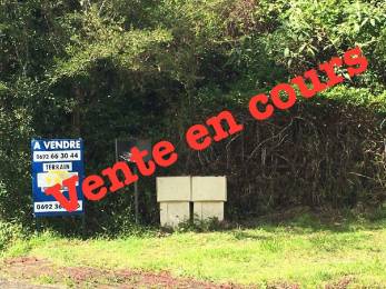 Achat inconnu Plaine des Palmistes (97431) - REUNION