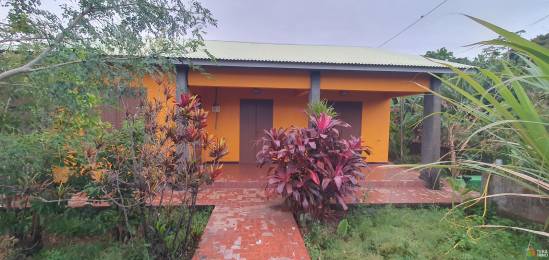 Achat Maison Saint-Pierre (97410) - REUNION