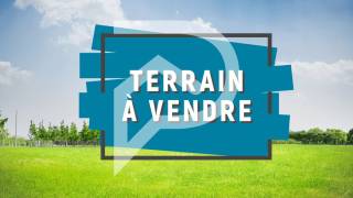 achat terrain à saint-louis (97450)