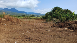 achat terrain à batir à bras-panon (97412)