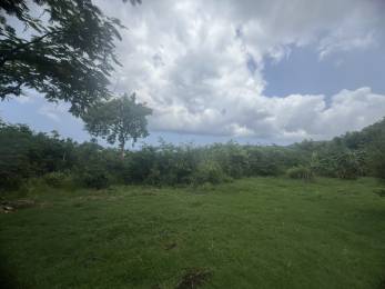 Achat Terrain à Batir Deshaies (97126) - GUADELOUPE