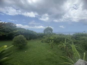 Achat Terrain à Batir Deshaies (97126) - GUADELOUPE