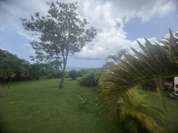 Achat Terrain à Batir Deshaies (97126) - GUADELOUPE