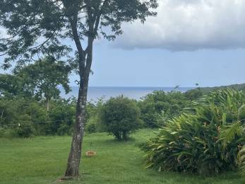 Achat Terrain à Batir Deshaies (97126) - GUADELOUPE