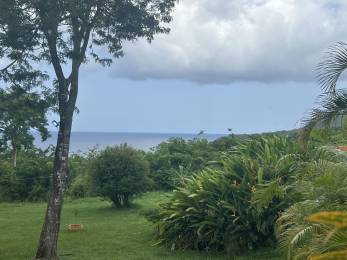 Achat Terrain à Batir Deshaies (97126) - GUADELOUPE